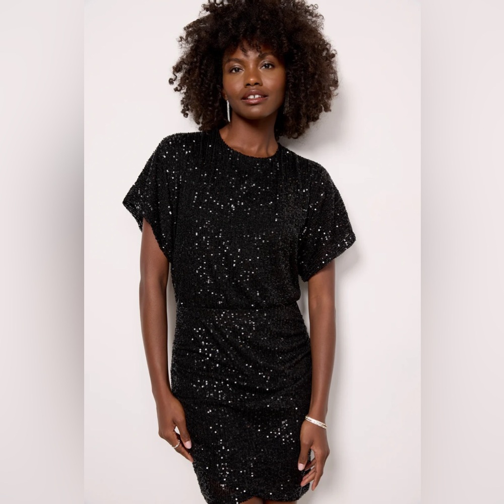 Z Supply Sparkling Black Sequin Dress